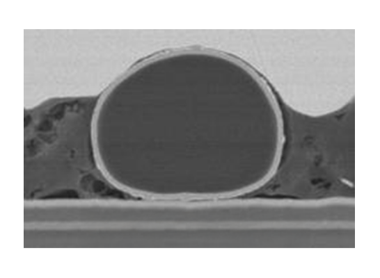 硬質(zhì)樹脂核心粒子