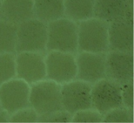 液體：UV工序中的玻璃凹痕