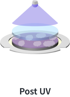 SELFA™：解鍵合