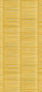 美龍（みりゅう）畳表寫(xiě)真